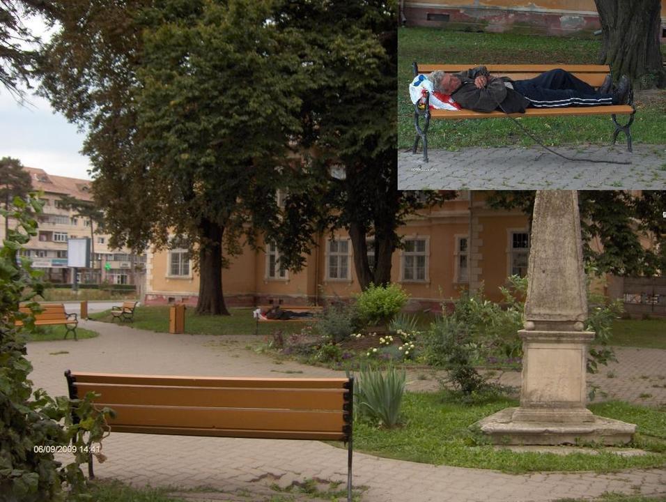 mila-publica-cersetor-fara-adapost