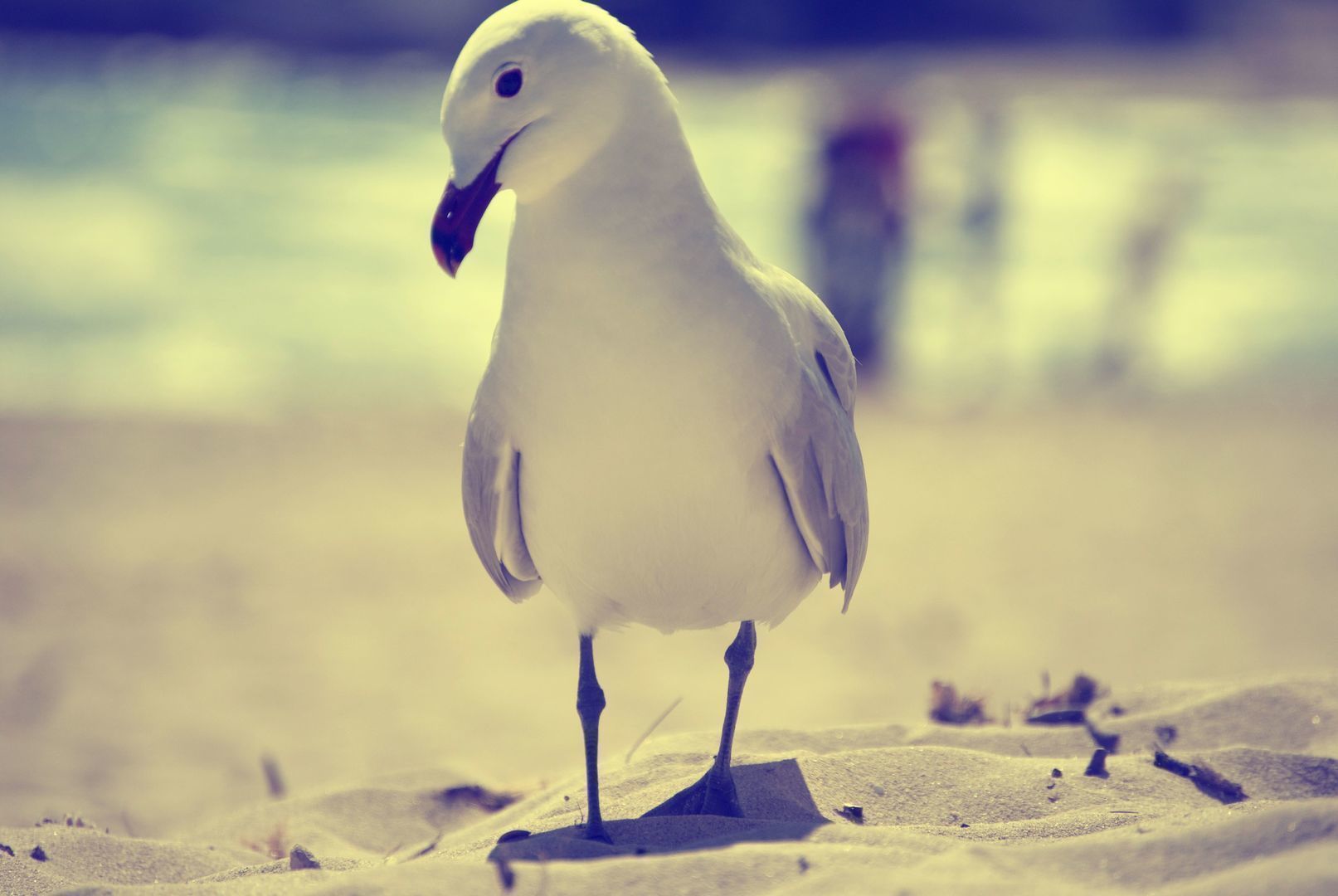 gull-ink