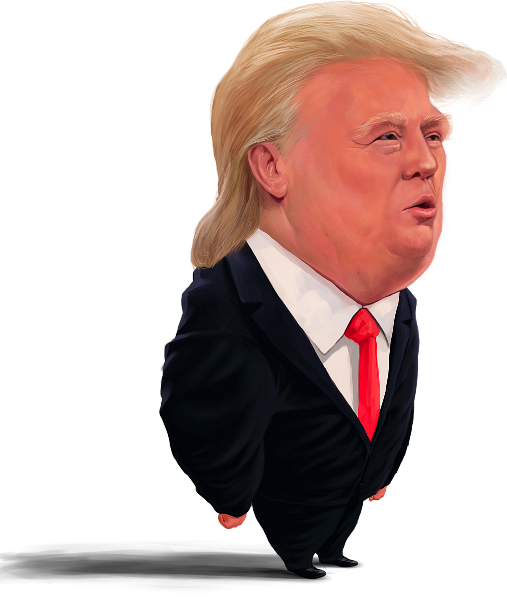 LifetimeStock-263019-L