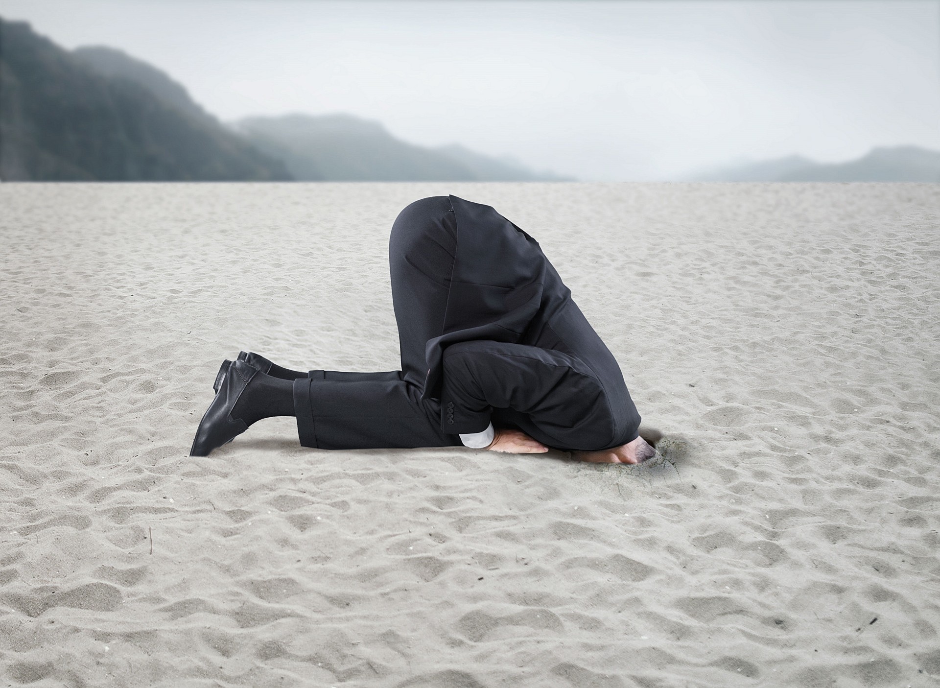 LifetimeStock-361271-L