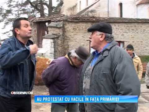 Primarul din Chirpar, vacile si discoteca